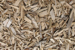 biomass boilers Bardowie